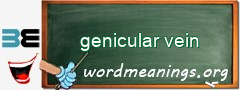 WordMeaning blackboard for genicular vein